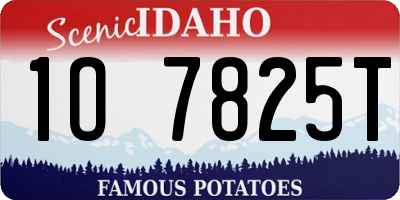 ID license plate 1O7825T