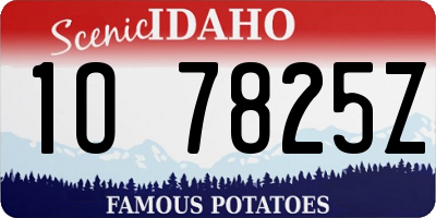 ID license plate 1O7825Z
