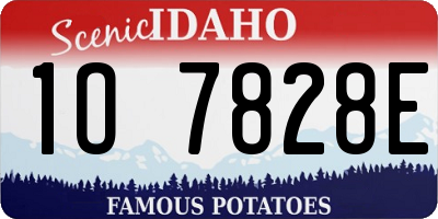 ID license plate 1O7828E