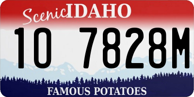 ID license plate 1O7828M