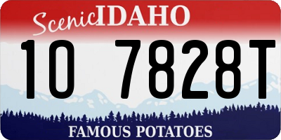 ID license plate 1O7828T