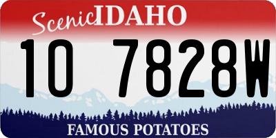 ID license plate 1O7828W