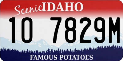 ID license plate 1O7829M