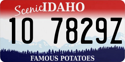 ID license plate 1O7829Z