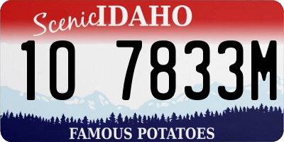 ID license plate 1O7833M