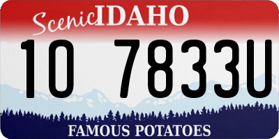 ID license plate 1O7833U