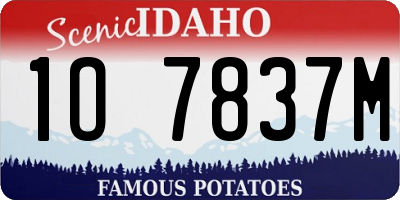 ID license plate 1O7837M