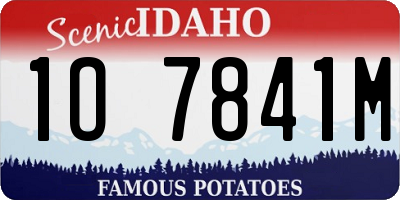 ID license plate 1O7841M