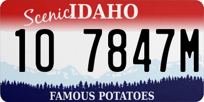 ID license plate 1O7847M