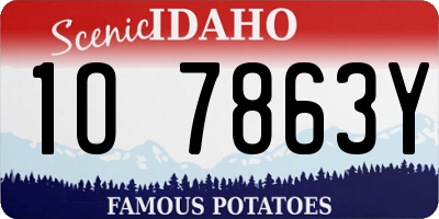 ID license plate 1O7863Y
