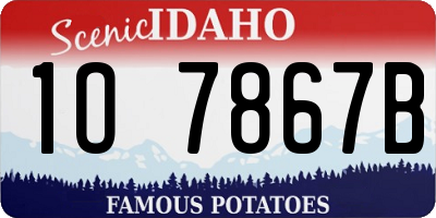 ID license plate 1O7867B