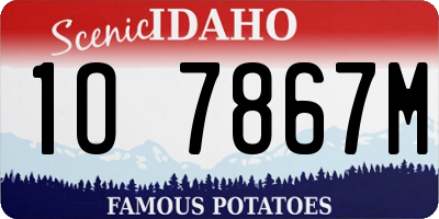 ID license plate 1O7867M