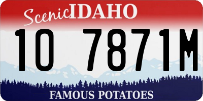 ID license plate 1O7871M