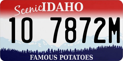 ID license plate 1O7872M