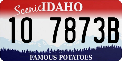 ID license plate 1O7873B