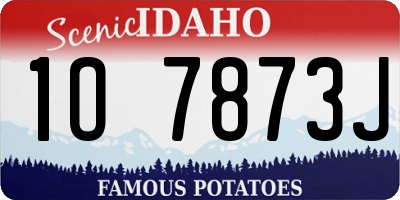 ID license plate 1O7873J