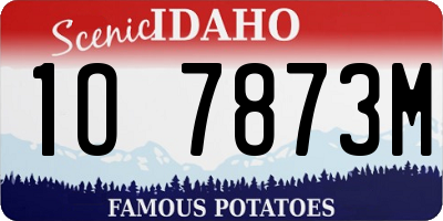ID license plate 1O7873M