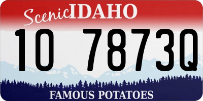 ID license plate 1O7873Q