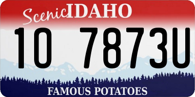 ID license plate 1O7873U