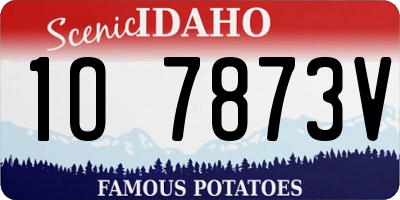 ID license plate 1O7873V