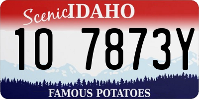 ID license plate 1O7873Y