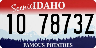 ID license plate 1O7873Z