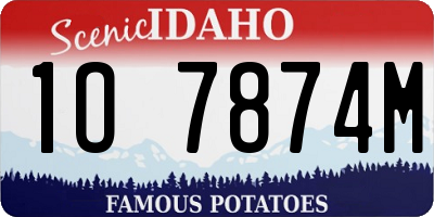 ID license plate 1O7874M