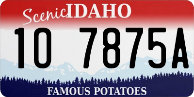 ID license plate 1O7875A