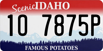 ID license plate 1O7875P