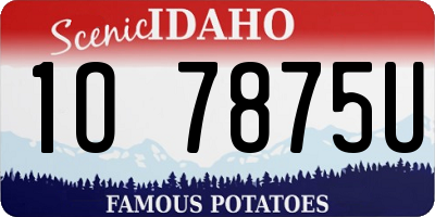 ID license plate 1O7875U