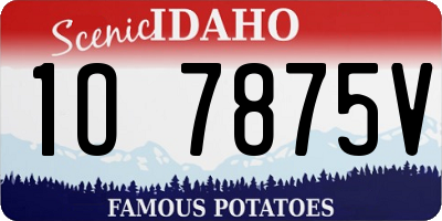 ID license plate 1O7875V