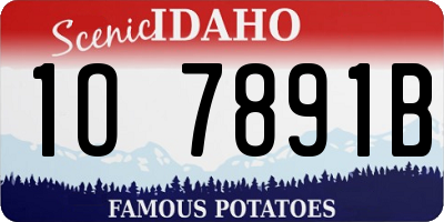 ID license plate 1O7891B