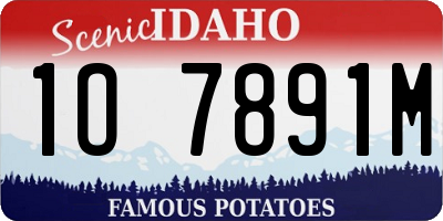 ID license plate 1O7891M