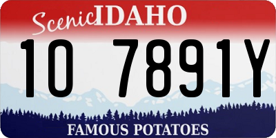 ID license plate 1O7891Y