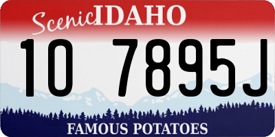 ID license plate 1O7895J