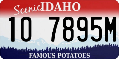 ID license plate 1O7895M