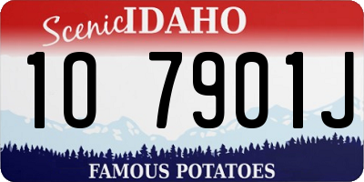 ID license plate 1O7901J
