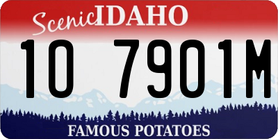ID license plate 1O7901M