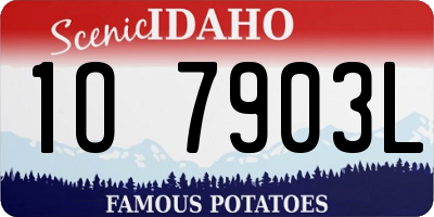 ID license plate 1O7903L