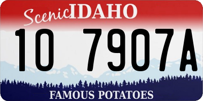 ID license plate 1O7907A