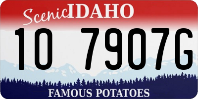ID license plate 1O7907G