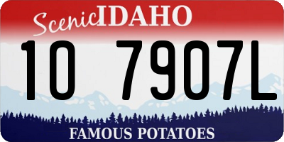 ID license plate 1O7907L