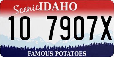 ID license plate 1O7907X
