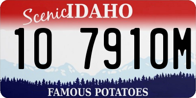 ID license plate 1O7910M