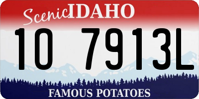 ID license plate 1O7913L