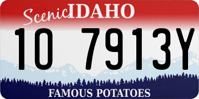 ID license plate 1O7913Y