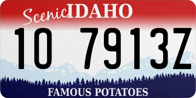 ID license plate 1O7913Z