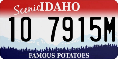 ID license plate 1O7915M