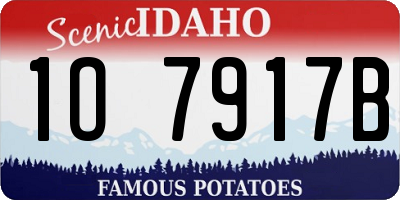 ID license plate 1O7917B