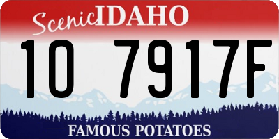 ID license plate 1O7917F